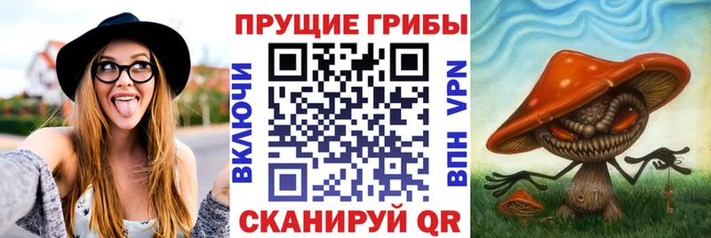 Галлюциногенные грибы Psilocybe  наркота  гидра маркетплейс  Сухиничи 